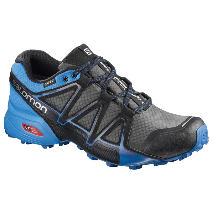 Salomon Singapore Mens Trail Running Shoes - SPEEDCROSS VARIO 2 GTX® Silver/Blue | 17509-CKUM